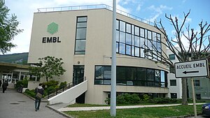 Europäisches Laboratorium Für Molekularbiologie: Rechtsstellung, Arbeitsgruppen, EMBL-EBI
