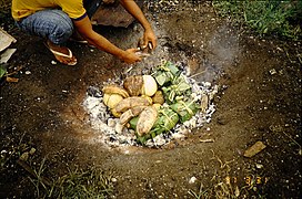 Four polynésien dans l'île de ‘Eua aux Tonga. La nourriture à cuire s'y dispose enveloppée dans des feuilles de bananier.