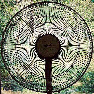 Electric fan