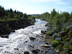 Река Эдлидаау летом 2007 года.