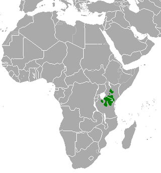 Distribuição territorial da gazela-de-thomson