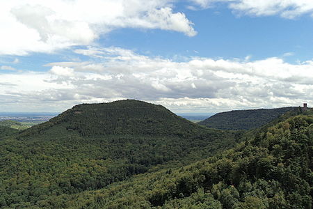 Föhrlenberg