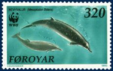 Faroe stamp 197 Mesoplodon bidens.jpg