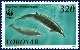 Kaksihammasvalas (Mesoplodon bidens) färsaarelaisessa postimerkissä