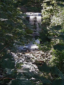 Fast flowing water at Trefriw - geograph.org.uk - 1416743