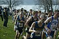 Image 28The New York State Federation Championship cross country meet in November 2010 (from Cross country running)