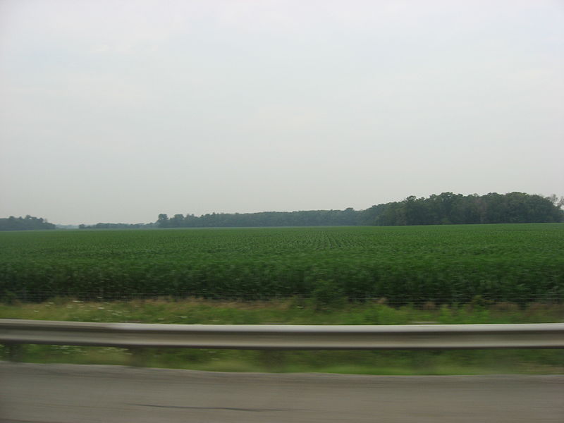 File:Fields and woods in Groton Township.jpg