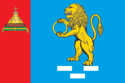 Flag of Nelidovo (Tver oblast).png