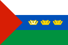 علم تيومين أوبلاست (24 مايو 1995–25 أكتوبر 2008)
