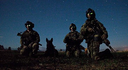 Rangers from the 3rd Ranger Battalion during a nighttime combat mission in Afghanistan, 6 March 2012. Flickr - The U.S. Army - Ranger combat mission.jpg