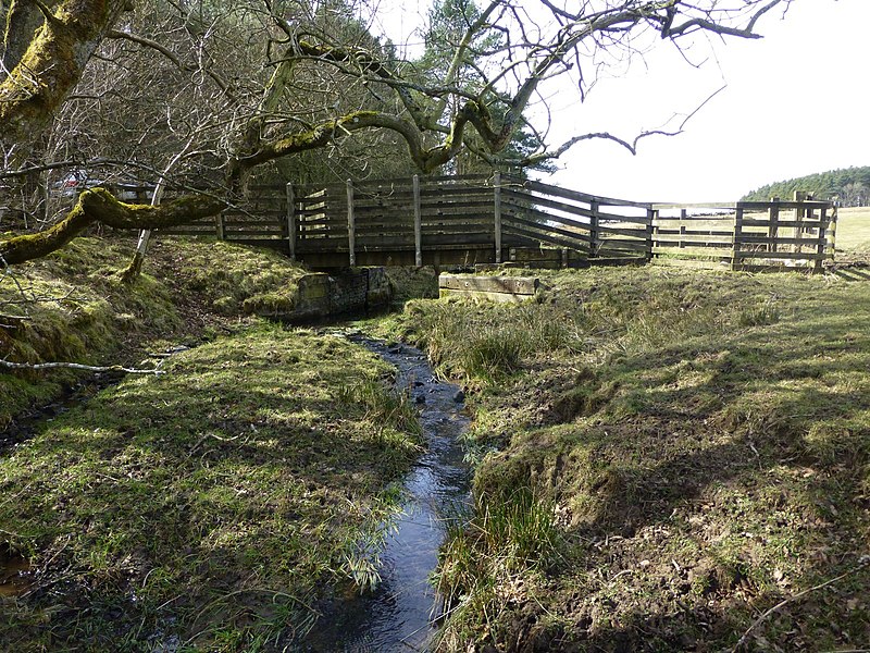 File:Footbridge over Nun Burn - geograph.org.uk - 4411384.jpg