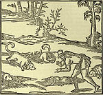 Bassetar, franska för taxar, från Jacques du Fouillouxs (ca 1521-1580) jakthandbok La vénerie 1560.