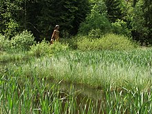 Frau-Holle-Teich mit Holzfigur der Frau Holle