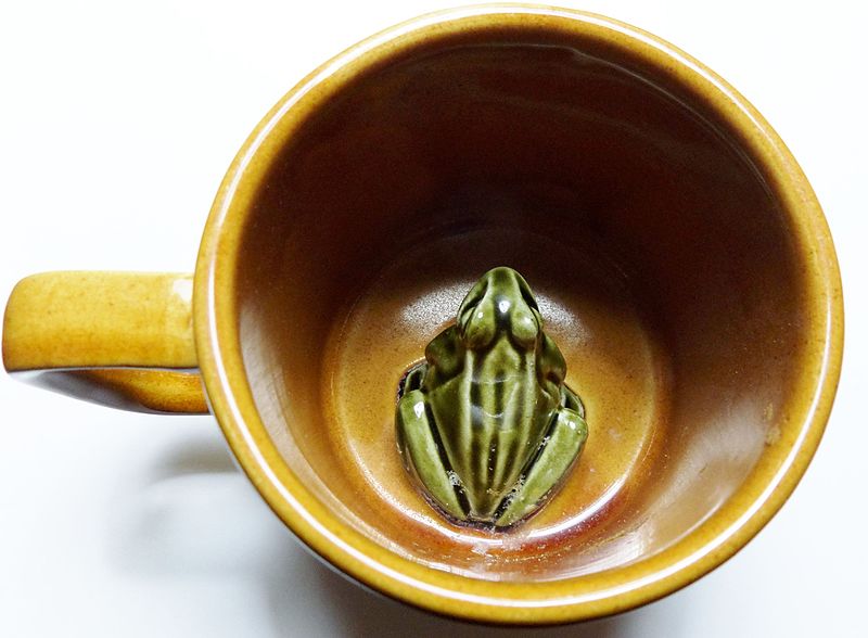 Frog mug - Wikipedia