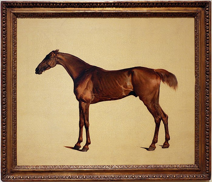 File:George stubbs, pangloss, 1762 ca. cavallo 01.jpg