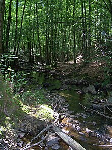 Gland (rivière).JPG