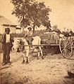 Image 13A cotton farmer and his children pose before taking their crop to a cotton gin, circa 1870 (from History of South Carolina)