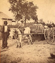 A cotton farmer and his children pose before taking their crop to a cotton gin, circa 1870 Going to the gin, by J. A. Palmer.jpg