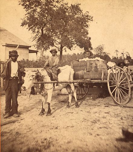 A cotton farmer and his children pose before taking their crop to a cotton gin, circa 1870