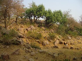 Vista dal monte