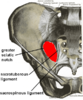 Greater sciatic foramen