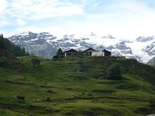 Il Monte Rosa visto da Gressoney-La-Trinité.