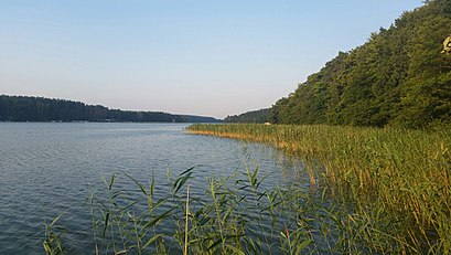 So kommt man zu dem Großer Pälitzsee mit den Öffentlichen - Mehr zum Ort Hier