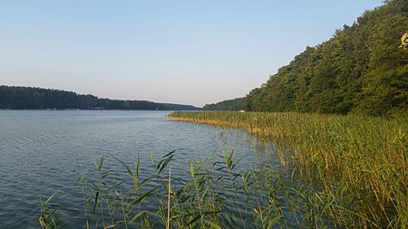 GrosserPaelitzsee