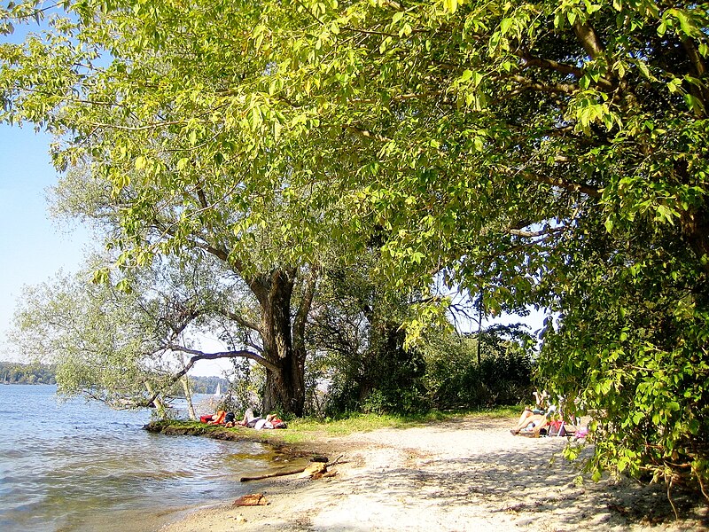 File:Havel, Strand, Berlin-Zehlendorf.jpg