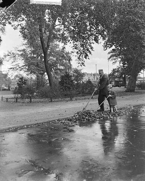 File:Herfst op Frederiksplein (jongetje Van de Laan ), Bestanddeelnr 903-6590.jpg