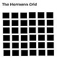 Hermann grid.jpg