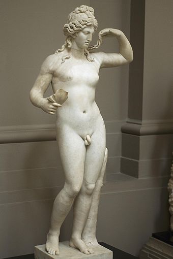Hermaphroditus, the "son" of the Greek god Hermes and the goddess Aphrodite, origin of the word "hermaphrodite"