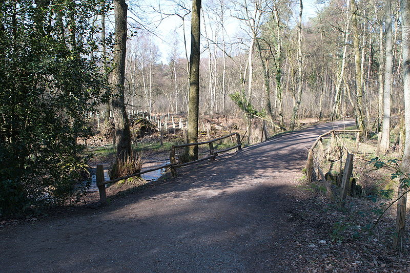 File:Hildener Heide 2016 168.jpg