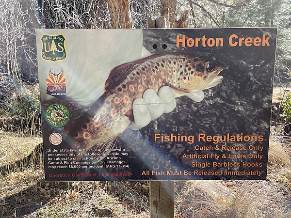 A signboard listing fishing regulations at Horton Creek, Arizona