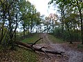 Heuvel gezien vanuit het noorden