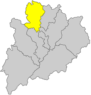 <span class="mw-page-title-main">Pingyuan County, Guangdong</span> County in Guangdong, Peoples Republic of China