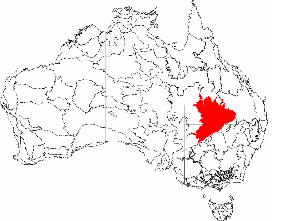 Eastern australia. Биорегионы Биорегионализм. Mulga. Биорегионы. Mulga Aldy.