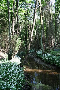 Ingleby Beck - geograph.org.uk - 1540584