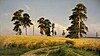 Ivan Shishkin - Рожь - Proyecto de arte de Google.jpg