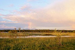 Järise järv Saaremaal.jpg