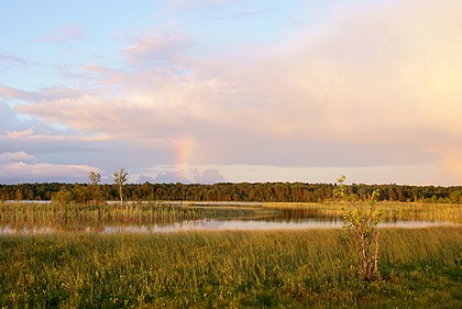 Lago Järise em Saaremaa, a maior ilha da Estônia no mar Báltico. (definição 3 872 × 2 592)