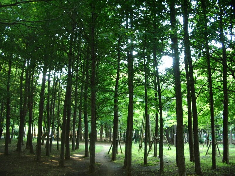 File:Jōhoku Chūō Park 02.jpg