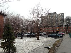 Habitations Jeanne-Mance
in Downtown Montreal. JMhousing.jpg