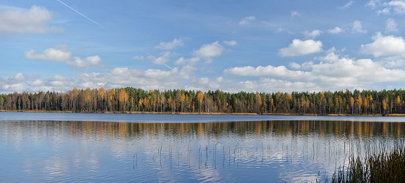 File:Jaala järv.jpg