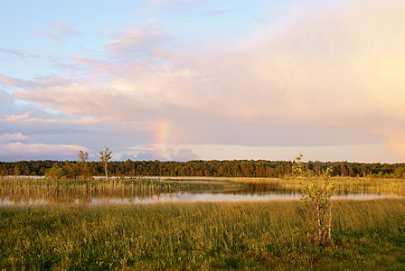 Järise Lake