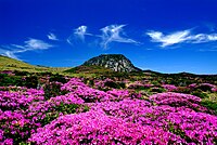 KOCIS Halla Mountain in Jeju-do (6387785543).jpg