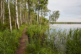 Kaisma järv ja matkarada