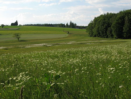 Kreuzmoos 04 Zweitälersteig