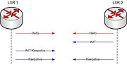 Vignette pour Label Distribution Protocol