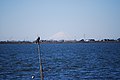 Desde Namegata el lago Kasumigaura y el monte Fuji.